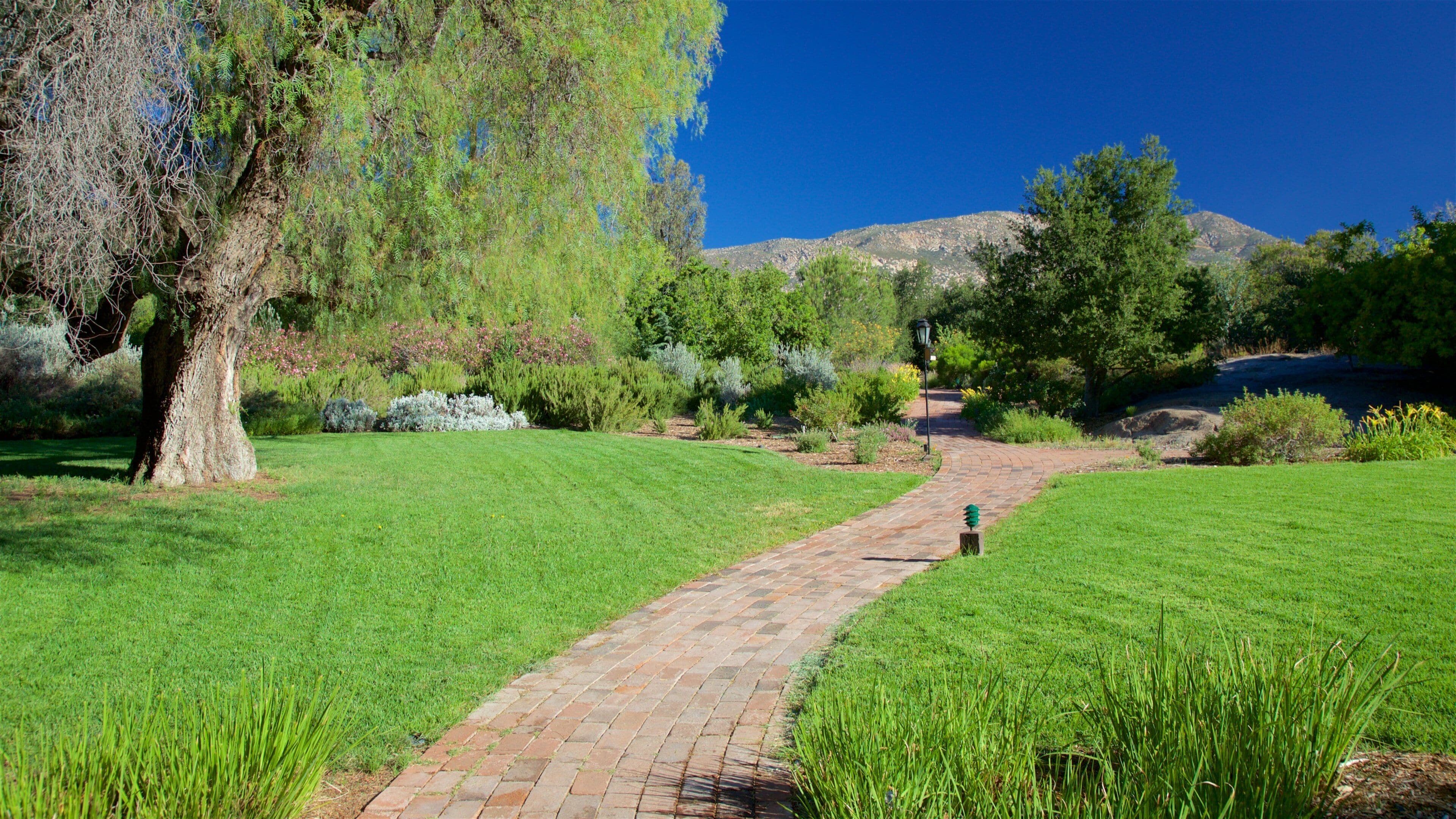 Tecate, Baja California senior care